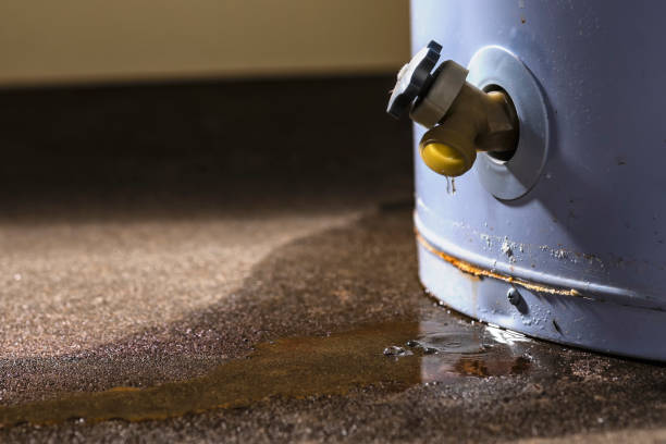 Best Ceiling water damage repair  in Hayward, CA