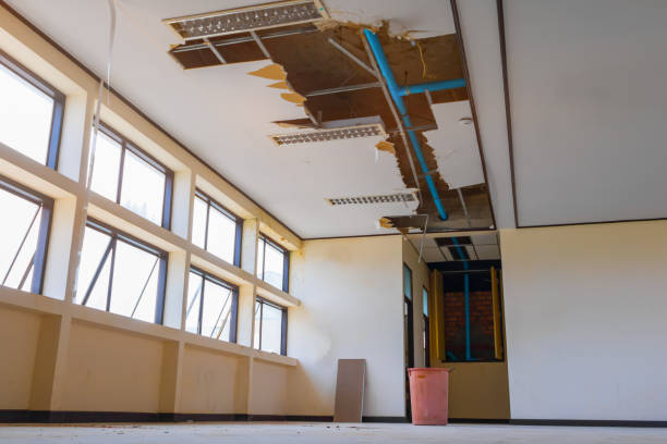 Best Basement water damage restoration  in Hayward, CA