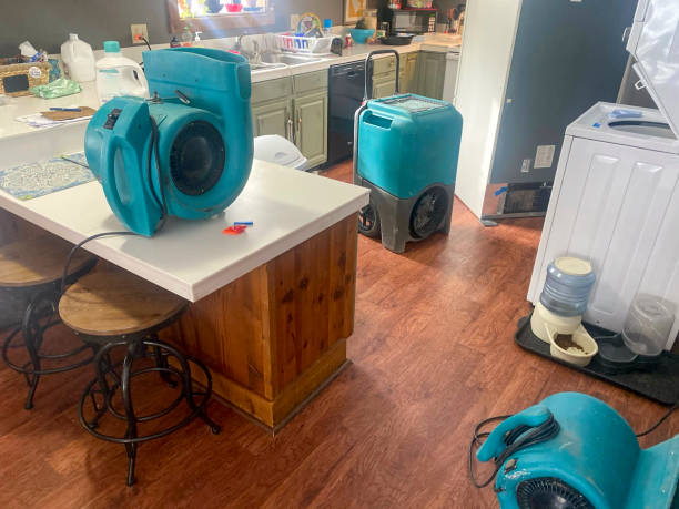 Best Water damage contractors near me  in Hayward, CA