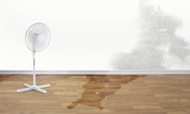 Best Carpet water damage restoration  in Hayward, CA