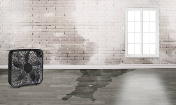 Best 24/7 water damage repair  in Hayward, CA