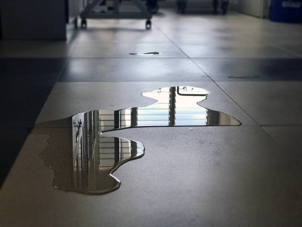Best Commercial water damage restoration  in Hayward, CA