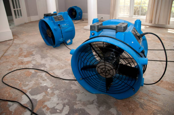 Best 24-hour water damage restoration  in Hayward, CA