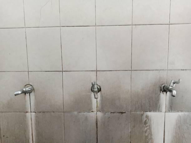 Best Mold removal after water damage  in Hayward, CA