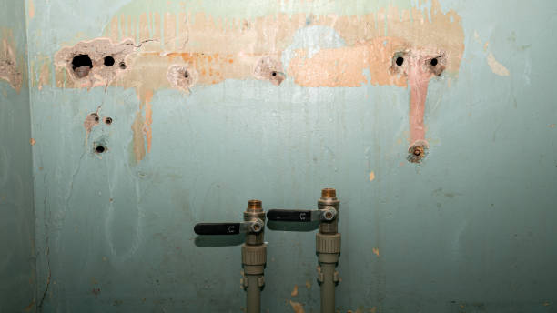 Best Water damage restoration near me  in Hayward, CA