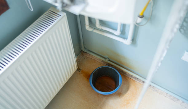 Best Flood damage cleanup  in Hayward, CA