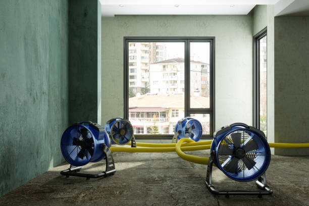 Best Water damage restoration process  in Hayward, CA
